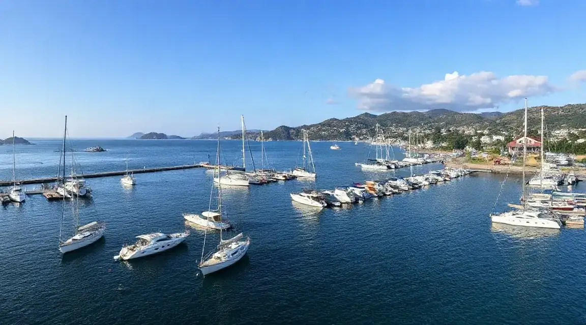青い海に多くのヨットが停泊する港を見渡した風景