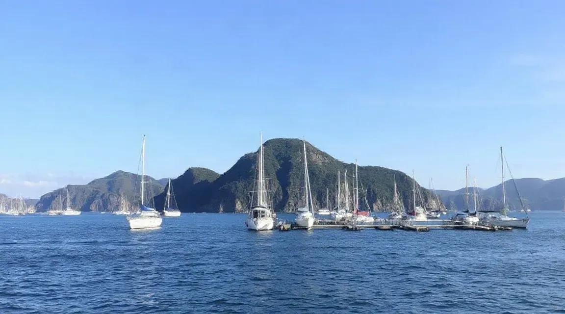 山を背に、ヨットが集まって停泊する青い湾